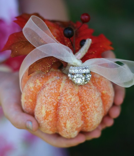 Harvest Fall Wedding Pumpkin Ring Bearer Pillow Woodland Rustic Western 