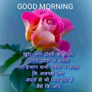 Good-morning-gulab-phul