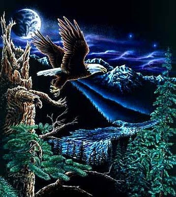 Find the Hidden Eagle Illusion