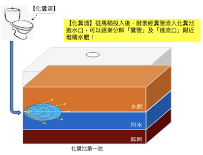 酵素從馬桶倒