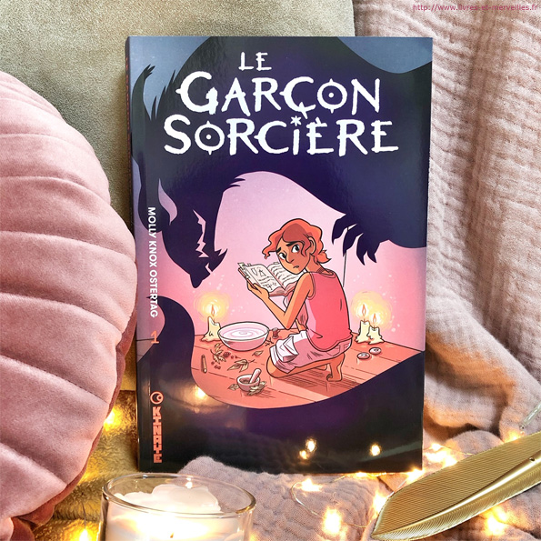 Le garçon sorcière de Molly Knox Ostertag