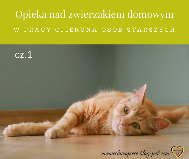 Niemiecki w opiece - Opieka nad zwierzętami w pracy opiekuna osób starszych, Praca w Niemczech, Opiekunka osób starszych, nauka niemieckiego