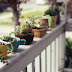 Dishfunctional Designs: The Upcycled Garden 2012: Using Recycled ...