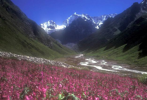 Valley Of Flowers Trekking