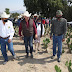 IMPULSA SIA EL CULTIVO DE NOPAL POR SU POTENCIAL PRODUCTIVO