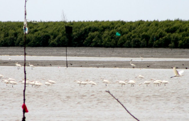 Taman Reakrasi Pantai Bagan Nakhoda Omar (BNO)