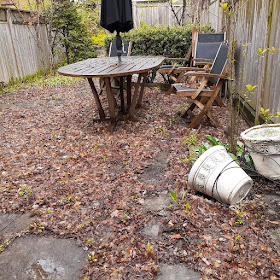 Toronto Back Garden Spring Cleanup Before in Riverdale by Paul Jung Gardening Services--a Toronto Gardening Services Company