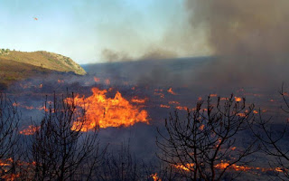 Δεν απειλούνται κατοικημένες περιοχές από τη φωτιά στην Μεταξάδα