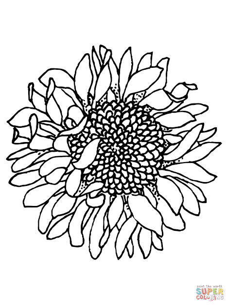 Click The Head Of Sunflower Coloring Pages To View Printable Version Or  Color It Online Patible With Ipad And Android Tablets