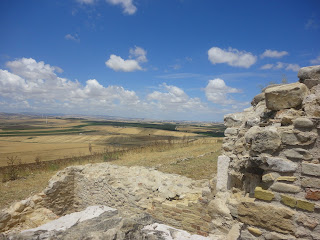 Il sito di Castel Fiorentino