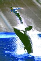 Shamu