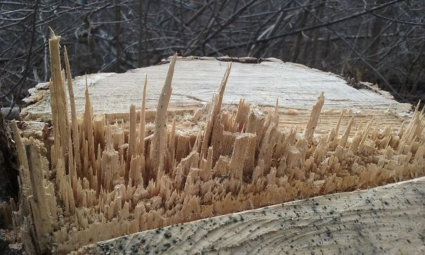20 Pictures Prove That 'Accidental' Art Can Be Astonishing - The Way This Wood Split Looks To Me Like A City Skyline
