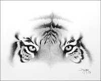 Tiger Eyes