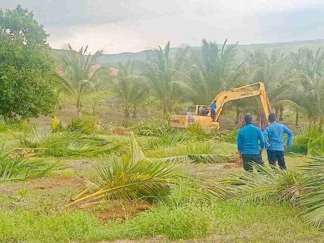 Penertiban Lahan di Tanjung Banon, Ariastuty: "Sesuai Prosedur yang Berlaku"