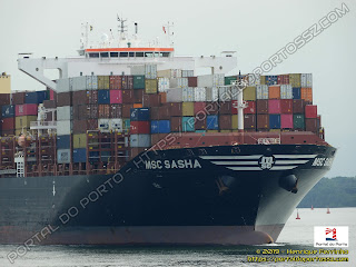 MSC Sasha