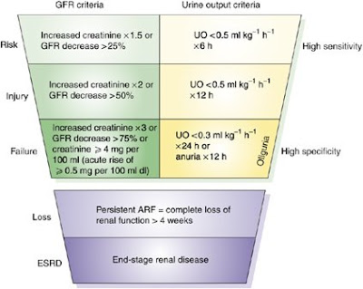 Some of this is semantics--for instance, the decision to change "acute renal 