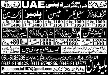 Blue Moon Enterprises Management Jobs In UAE 2024