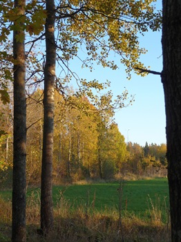 136 korr