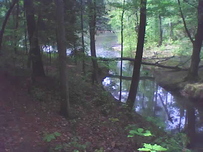 Falls Lake Trail Section 5 with nice views