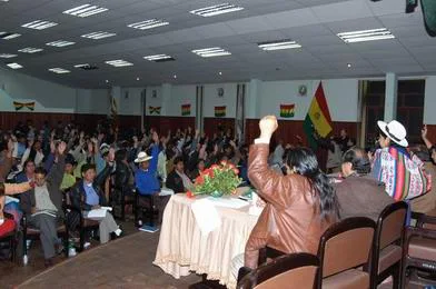 Votação da Constituição Boliviana