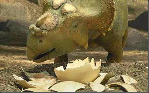 walkingwithdinosaurs photo
