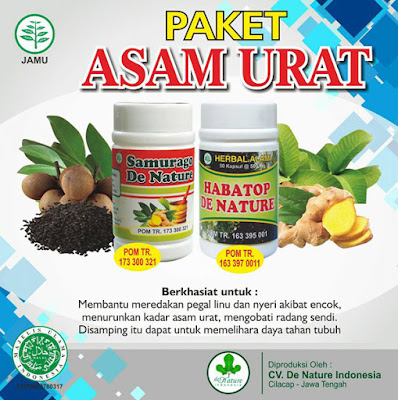 Obat Asam Urat 