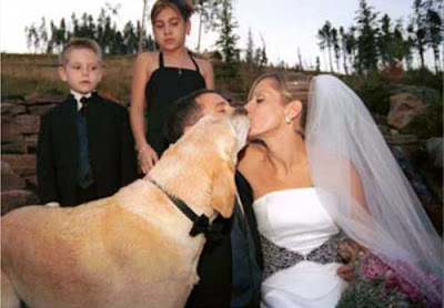 Funny wedding humor pictures and funny photos