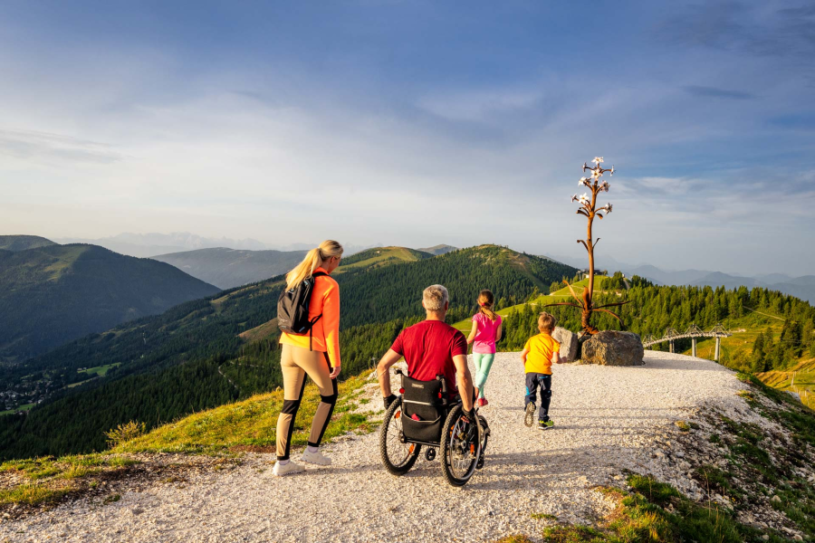 opretholde spontan gullig Escursioni per disabili in carrozzina in montagna: ecco 10 sentieri  accessibili in Carinzia - Montagna di Viaggi