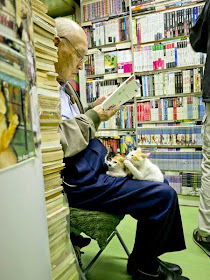 kucing dipangkuan seorang pelanggan SAM KEE Bookstore
