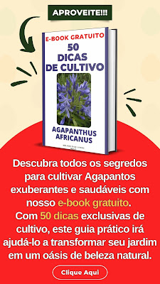 E-book de jardinagem grátis