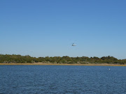 Osprey aircraft practicing landing and takeoff (dscn )