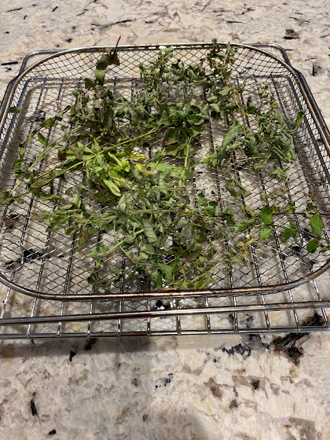 herbs drying on a mesh tray