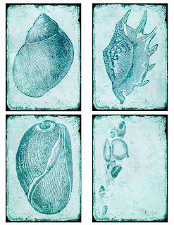 sea shell collage sheet atc background digital download