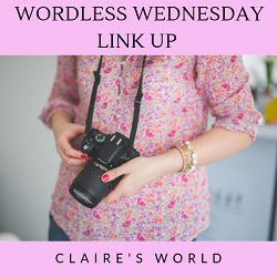 Wordless Wednesday