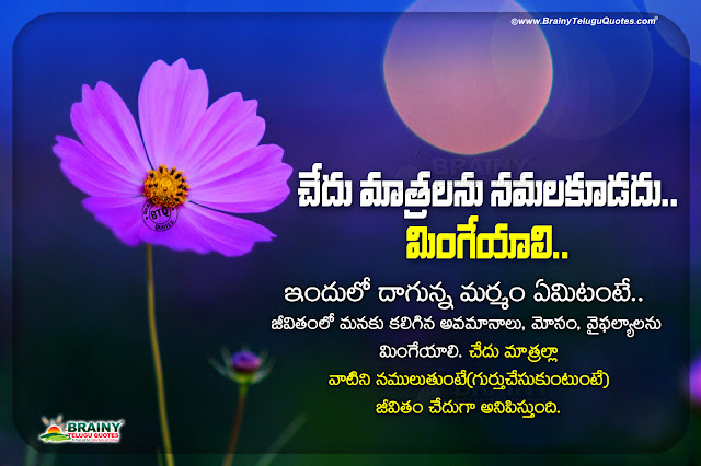 telugu quotes, good words in telugu, best motivational quotes in telugu, nice life changing quotes in telugu