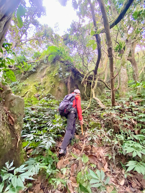 往薩匹基山