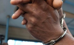 Autoridades sul-africanas prendem um indivíduo na fronteira de Lebombo com mais de 10 passaportes