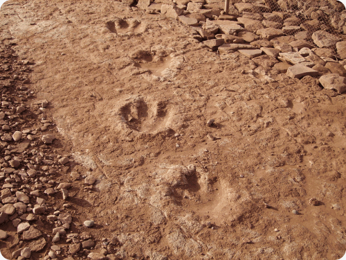 deserto_patagonico_6