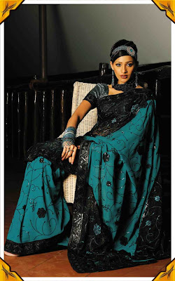 beautiful saree with Black sequin jall design