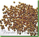 coriandrum-sativum-semillas