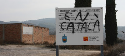 català, cartell, spray, pintada, coto, moviment franjolí llengua