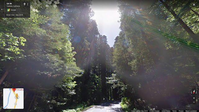 Entering the Star Wars Flying Motorcycle Redwood Forest - Its Dark in there