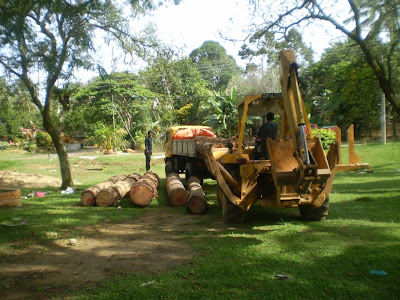 Gaya Peneroka: KAYU BALAK