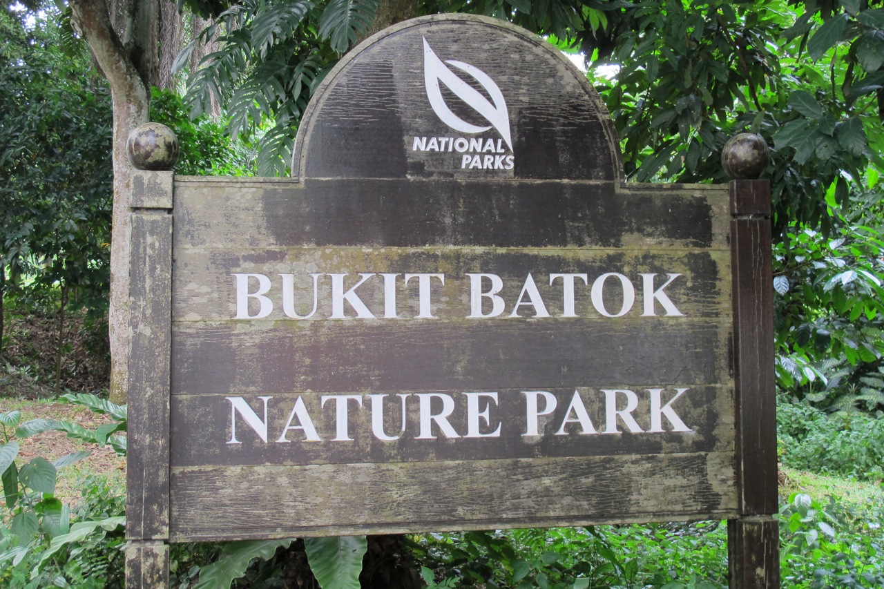 Blog版シンガポール写真百科事典 ブキティマ自然保護区
