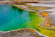 Yellowstone National Park (dsc )