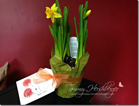 Easter Bunny with Daffodils by Tammy Hershberger