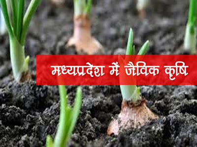 मध्यप्रदेश  में जैविक कृषि |M.P. Organic farming in Hindi