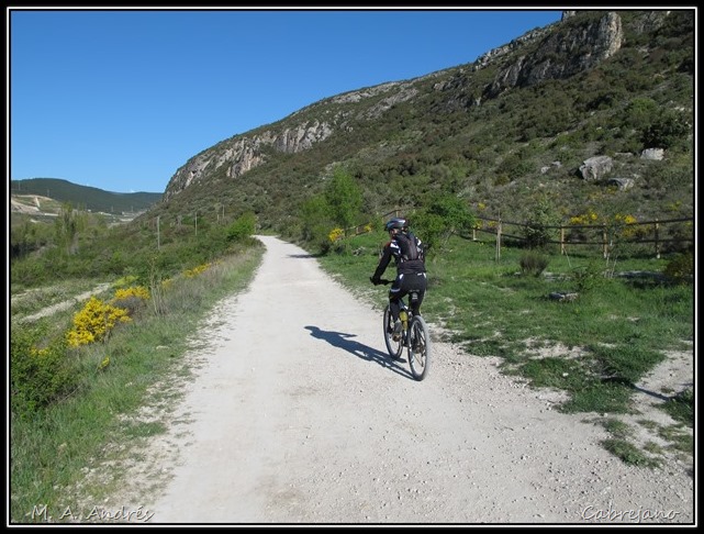 BTT Liedena 001