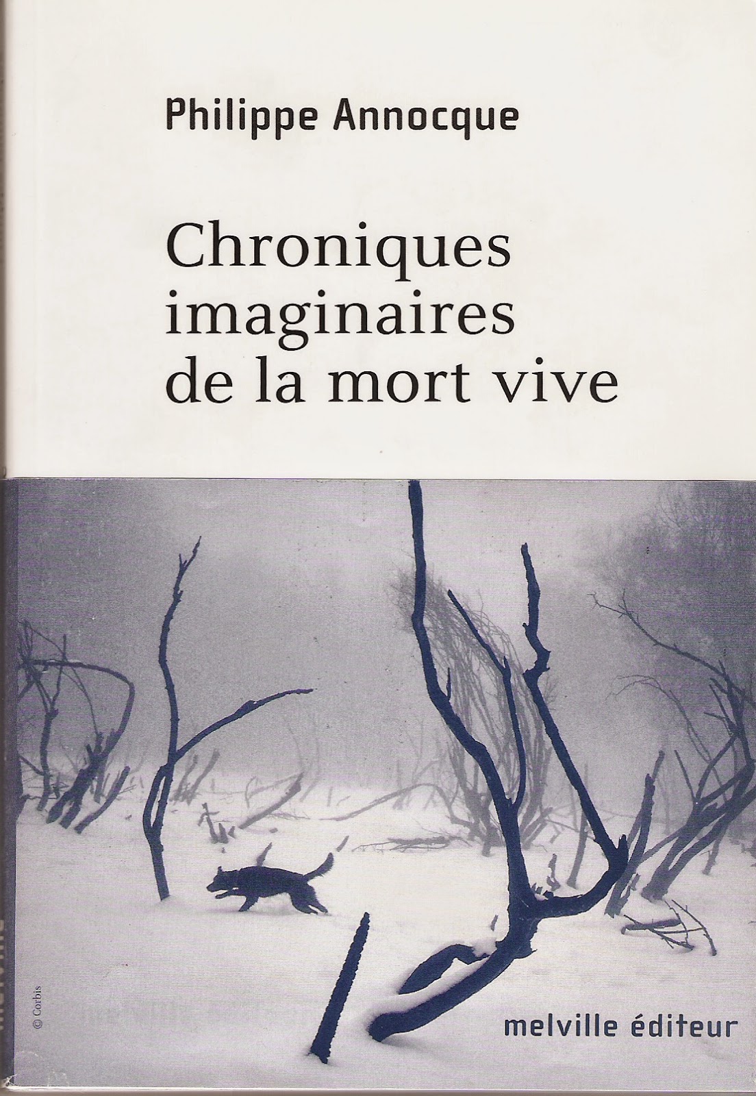 http://hublots2.blogspot.fr/p/chroniques-imaginaires-de-la-mort-vive.html