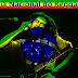 Día Nacional del Reggae